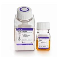 StemPro™ MSC SFM，A1033201