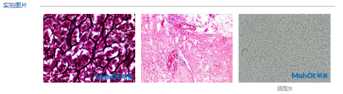 生物显微镜 ML11