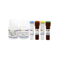 乙醛检测试剂盒(WST-8法)