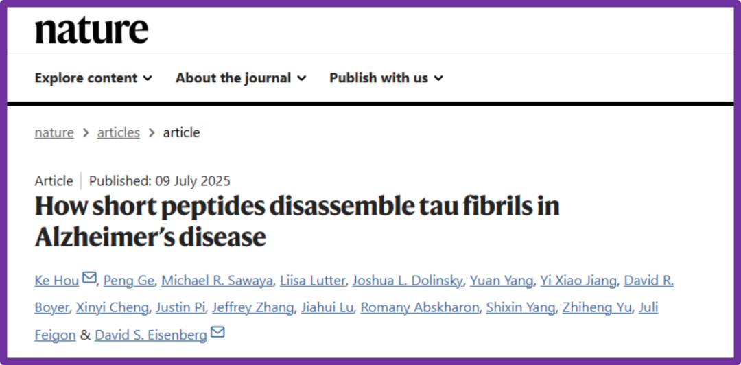 Nature顶刊研究揭示阿尔茨海默病治疗新机制，BM LABTECH多功能酶标仪为tau蛋白解聚提供关键数据支持