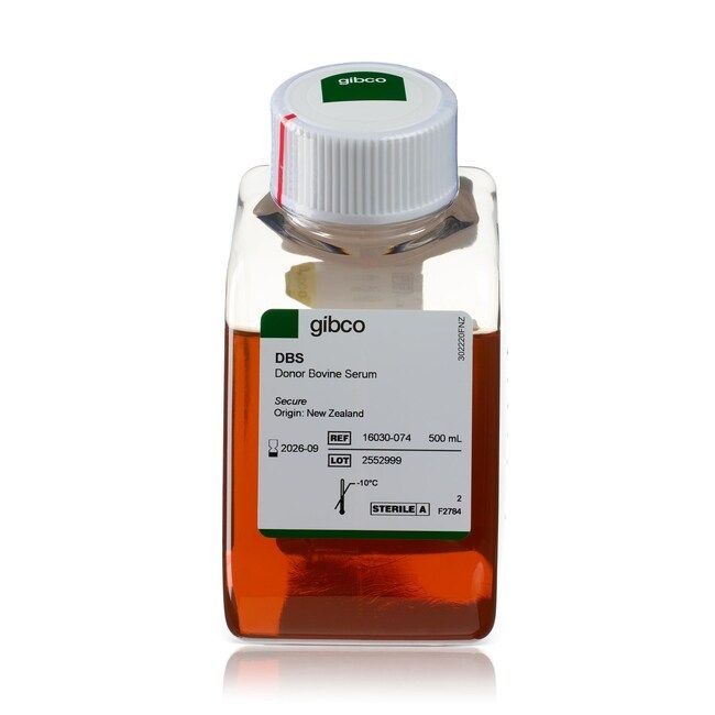 Donor Bovine Serum, New Zealand Origin,16030074