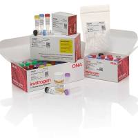 测序用 GeneRacer™ 试剂盒(含 SuperScript™ III RT)和 TOPO TA Cloning™ 试剂盒,L150201