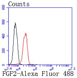 FGF2 Rabbit mAb[49431]