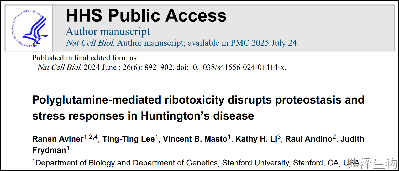【核糖体碰撞-经典研究】 解密亨廷顿舞蹈症：核糖体碰撞如何引发神经元全局崩溃？