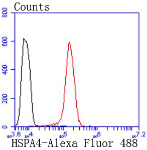 HSPA4 Rabbit mAb[49198]