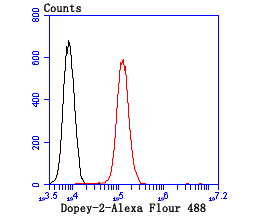 DOPEY2 Antibody[48029]