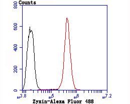 Zyxin Rabbit mAb[49705]