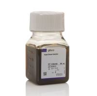 自溶酵母提取物（15% 溶液），18180059