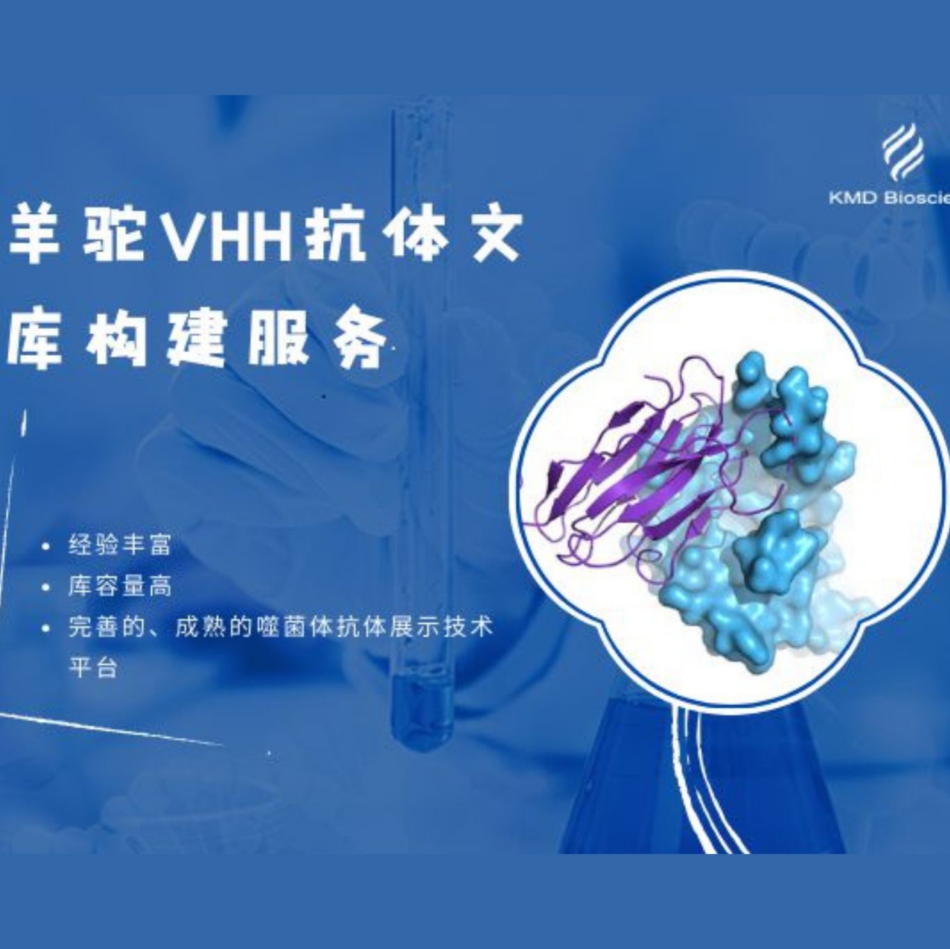 羊驼纳米抗体文库构建服务