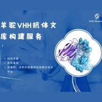 羊驼纳米抗体文库构建服务