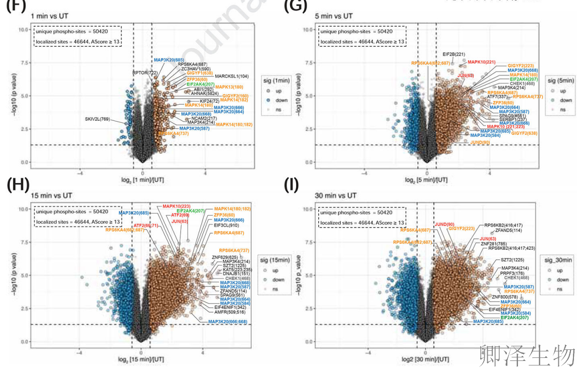 【核糖体碰撞-经典研究】 UV致死元凶非DNA损伤？核糖体毒性应激终解密！