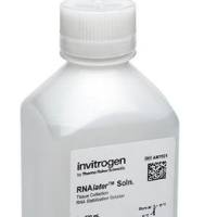 RNAlater™ 稳定液