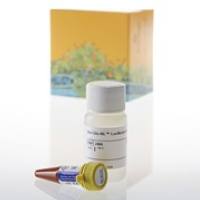 Bio-Glo-NL™萤光素酶报告基因检测系统