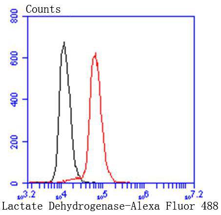 产品细节图片11