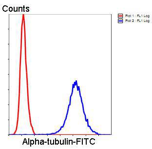 Alpha-tubulin Antibody[48502]