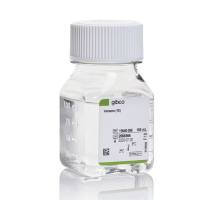 Versene 溶液,15040066