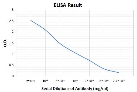 Mouse anti-Human IgG light cha