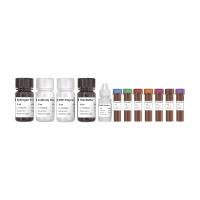 4色免疫组化检测试剂盒（即用型）4-Color TSA IHC Kit（Ready-to-use）(HC401)