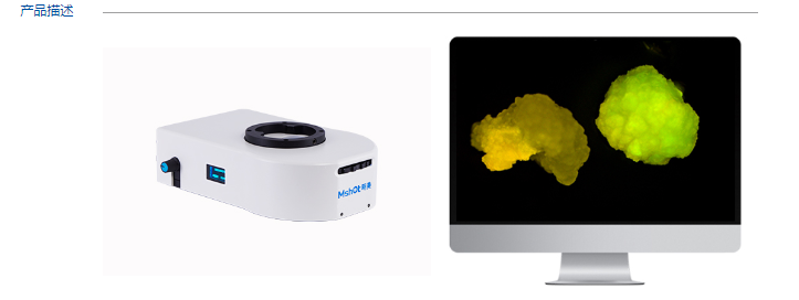 体视数显荧光模块