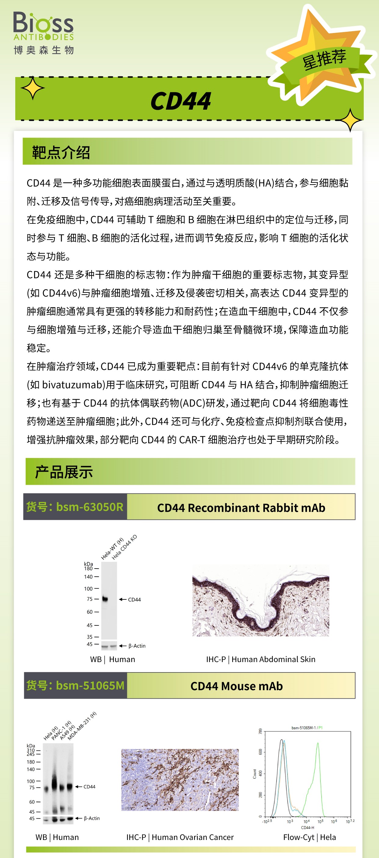 Bioss 星推荐 | CD44 抗体