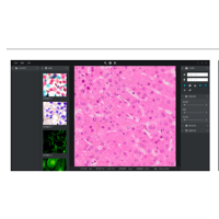 明美显微数码测量分析系统
MShot Image Analysis System