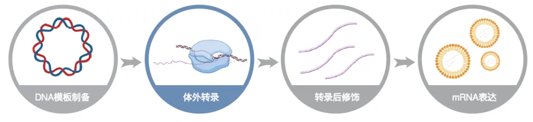 新闻图片1