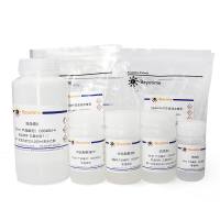 多糖多酚植物基因组DNA小量抽提试剂盒(离心柱式)