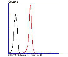 CD274(PD1L1) Antibody[48238]