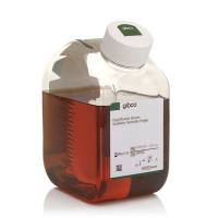 胎牛血清,合格,One Shot™ 规格,澳大利亚,10099158