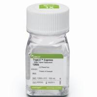 TrypLE™ Express 酶 (1X)，无酚红，12604039-20 x 100mL
