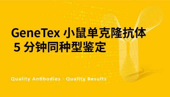 GeneTex 小鼠单克隆抗体 5 分钟同种型鉴定