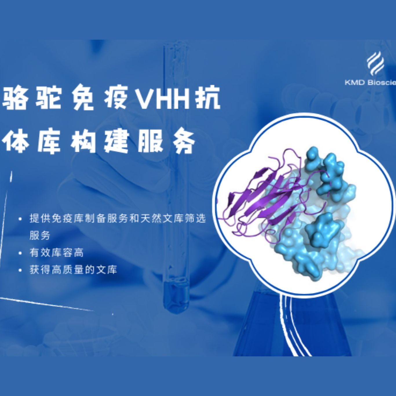 骆驼免疫纳米抗体文库构建服务介绍