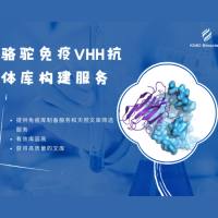 骆驼免疫纳米抗体文库构建服务介绍