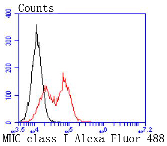 MHC class I Rabbit mAb[49361]