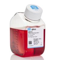 DMEM，高糖，11995065-500ml