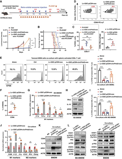 外泌体技术服务 外泌体技术服务