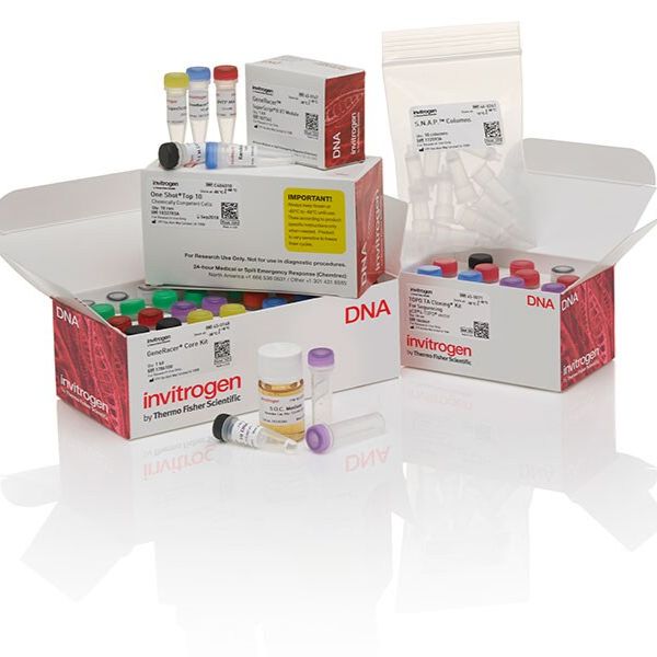 测序用 GeneRacer™ 试剂盒(含 SuperScript™ III RT)和 TOPO TA Cloning™ 试剂盒,L150201