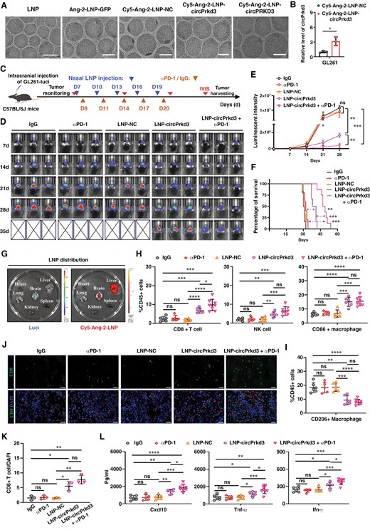 外泌体技术服务 外泌体技术服务