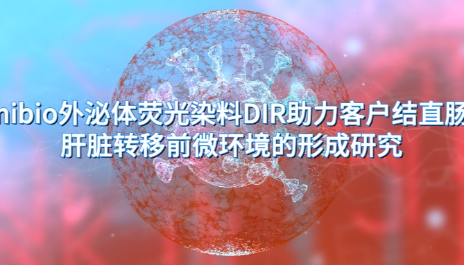 IF=25.8 | Umibio外泌体荧光染料 DIR 助力客户结直肠癌肝脏转移前微环境的形成研究！