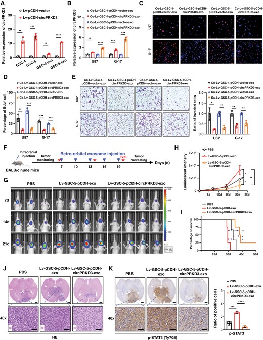 外泌体技术服务 外泌体技术服务