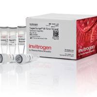 SuperScript™ III 第一链合成 SuperMix,18080400