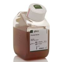 猪血清，26250084