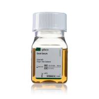 山羊血清，新西兰来源，16210064