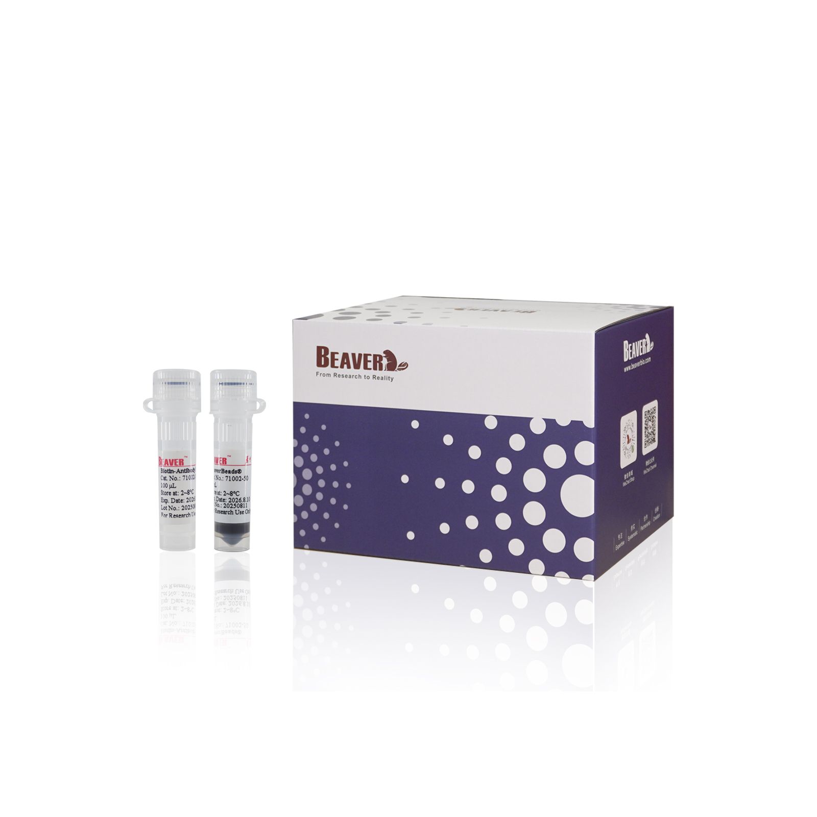 人中性粒细胞分选试剂盒（阴选）