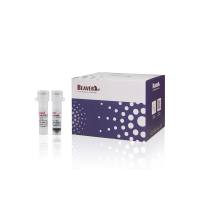 人中性粒细胞分选试剂盒(阴选)