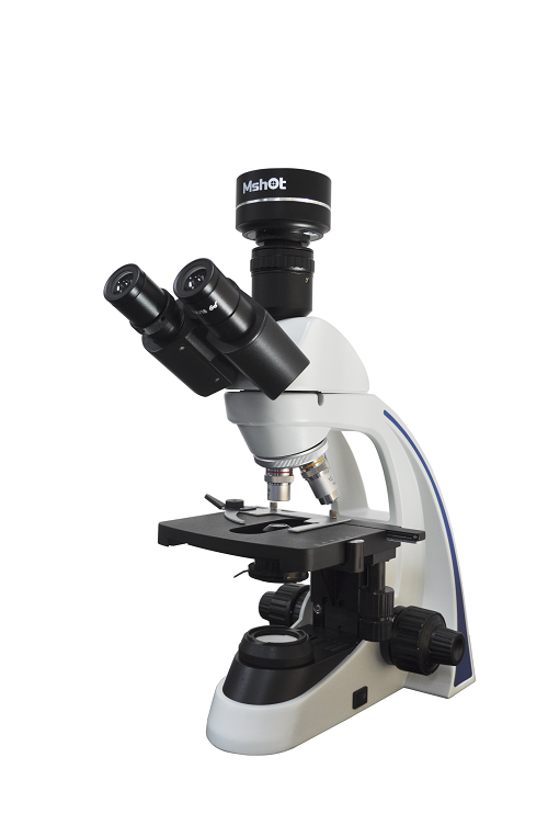 生物显微镜 ML11