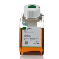 Fetal Bovine Serum, certified, United States