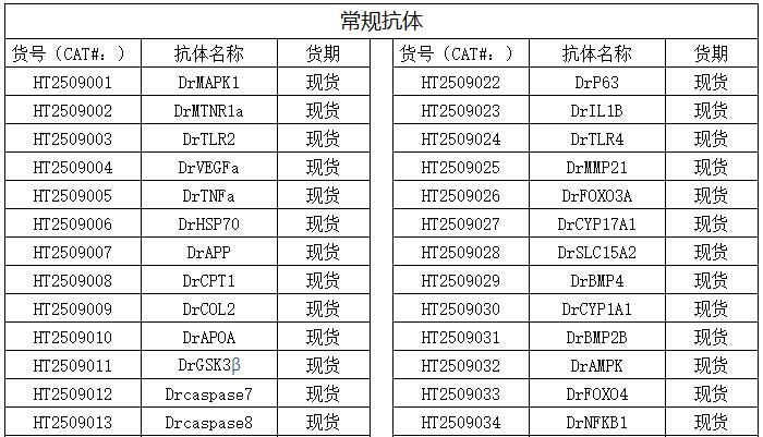 斑马鱼抗体定制与售卖服务
