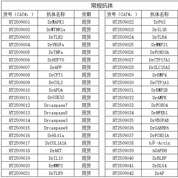 斑马鱼抗体售卖/斑马鱼常规抗体/现货出售