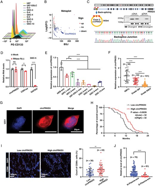 外泌体技术服务 外泌体技术服务